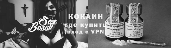 соль ск Абаза