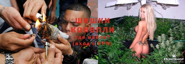 соль ск Абаза